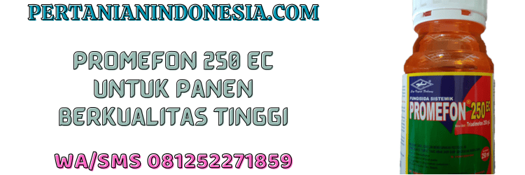 jual,murah,terjangkau,toko pertanian terdekat,pertanian indonesia